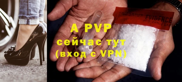 гашик Дмитриев