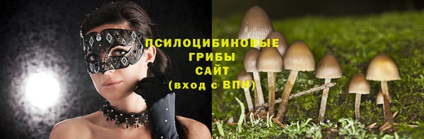 бутират Дмитровск