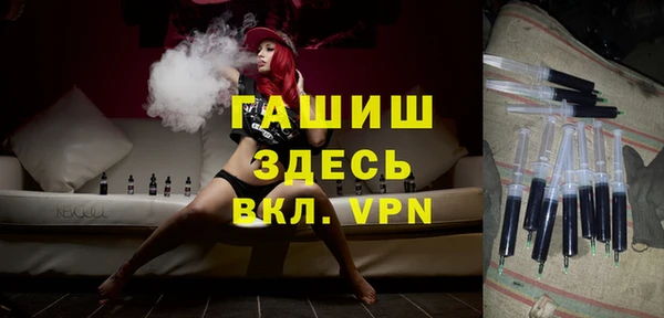 гашик Дмитриев