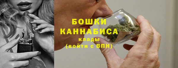дживик Дмитров