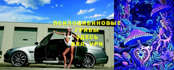 гашик Дмитриев