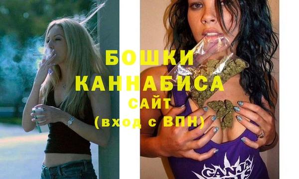 дживик Дмитров