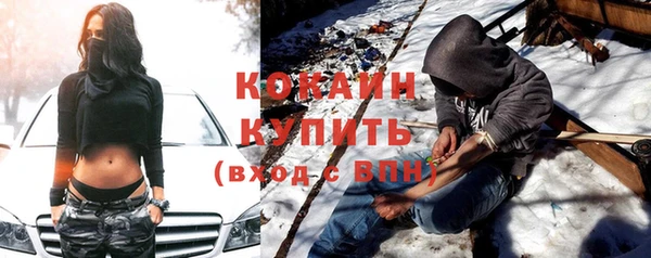 гашик Дмитриев