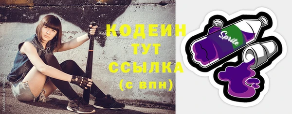 гашик Дмитриев