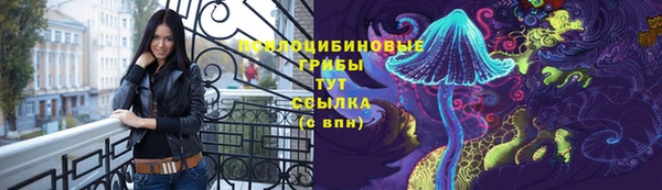 гашик Дмитриев