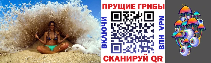 где купить наркоту  Железноводск  ОМГ ОМГ зеркало  Псилоцибиновые грибы прущие грибы 